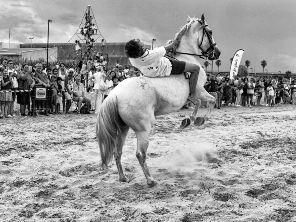 Course de débutants à Pinedo, Valencia (Epagne).
