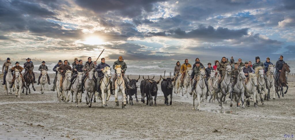 Les Gardians sur la plage
