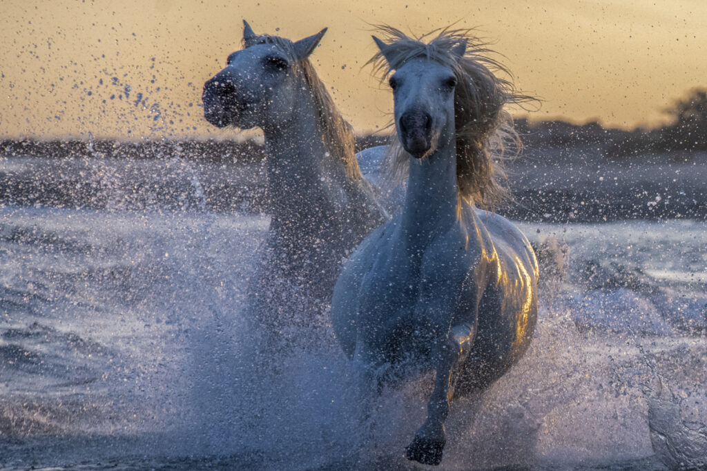 Bain de fin de journée