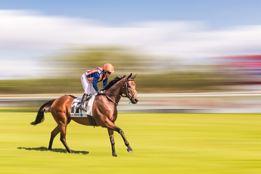 course à l'hippodrome