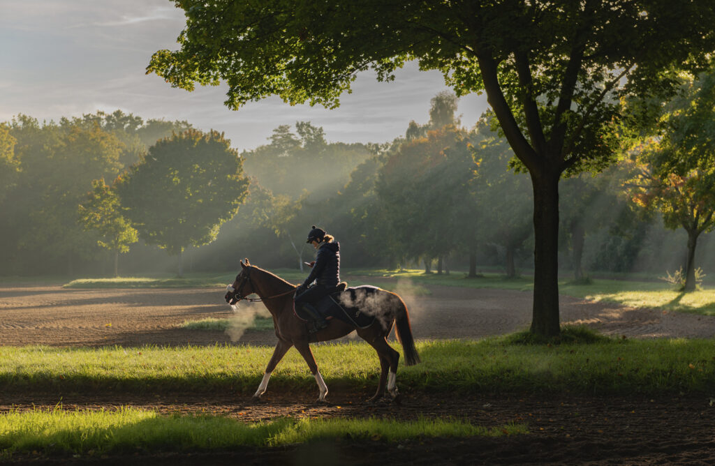 Dernier sms avant l'entrainement.... Maisons-Laffitte