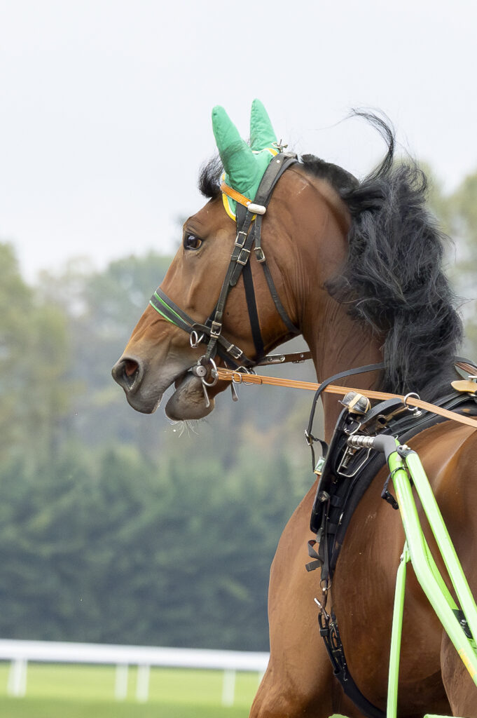 entre style et performance