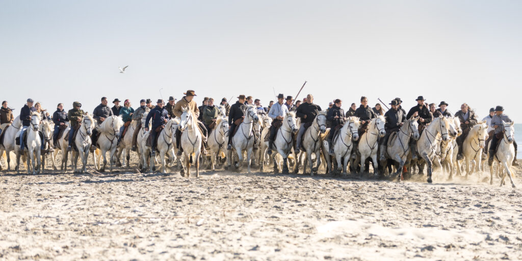 Abrivado aux Saintes Maries