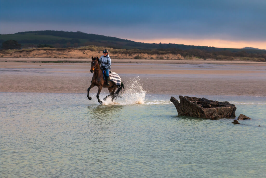 Cavalcade autour de l'épave