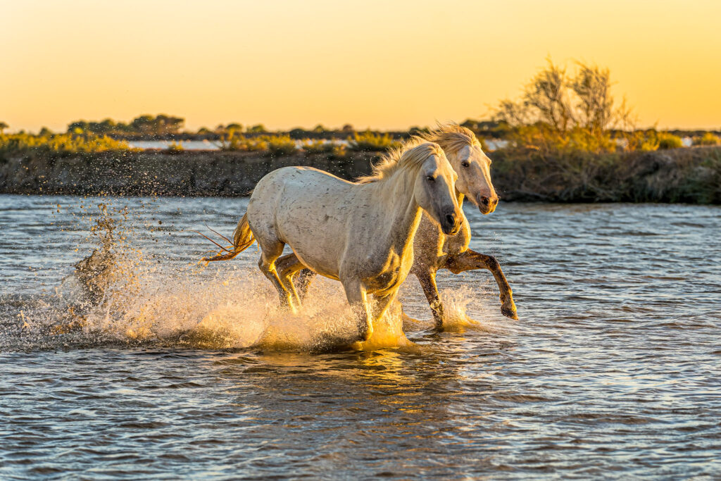 A deux, c'est mieux !