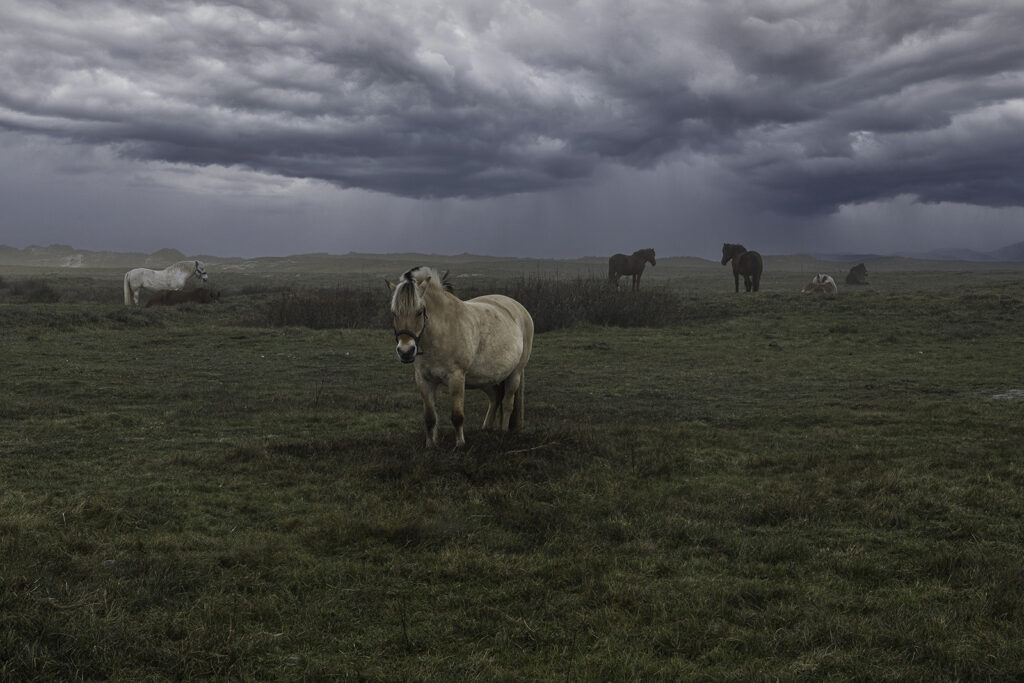 Pointe de Penmarc'h.