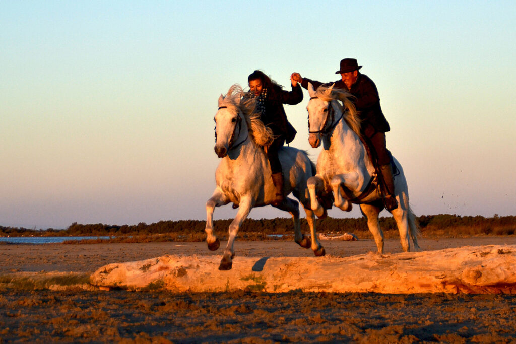 Ensemble au coucher de soleil
