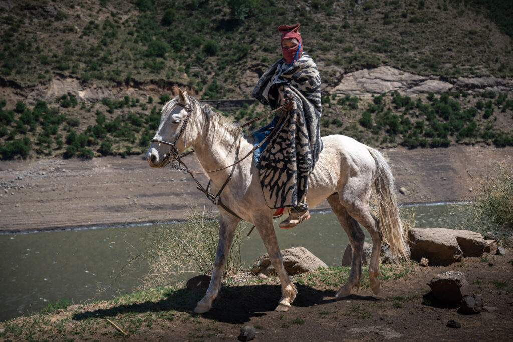 Fier sur son cheval basuto