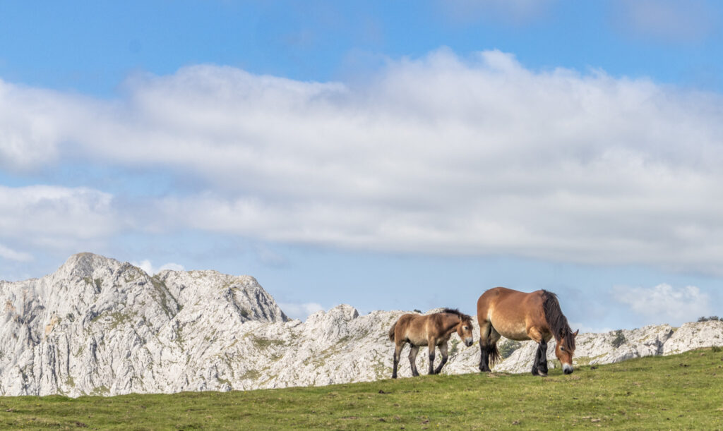 Maman et petit à Urkionamendi Espagne