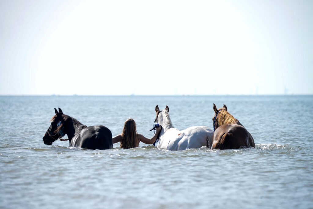 Quand les vagues murmurent les secrets d'une connexion profonde