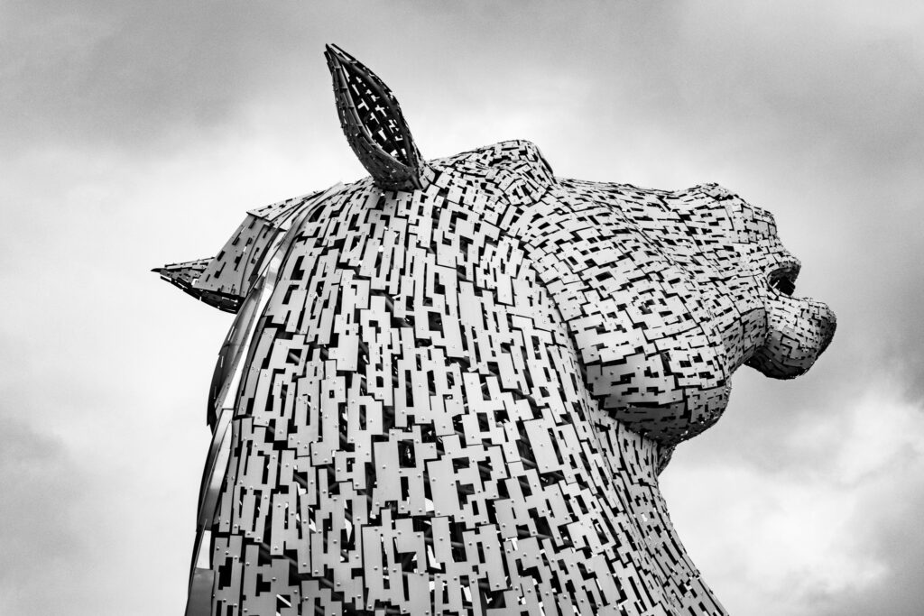 Falkirk: a horse is a horse.