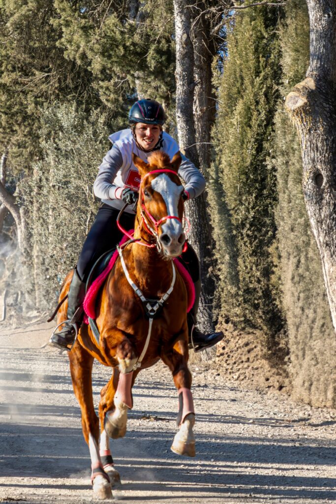 Plus vite, plus haut.