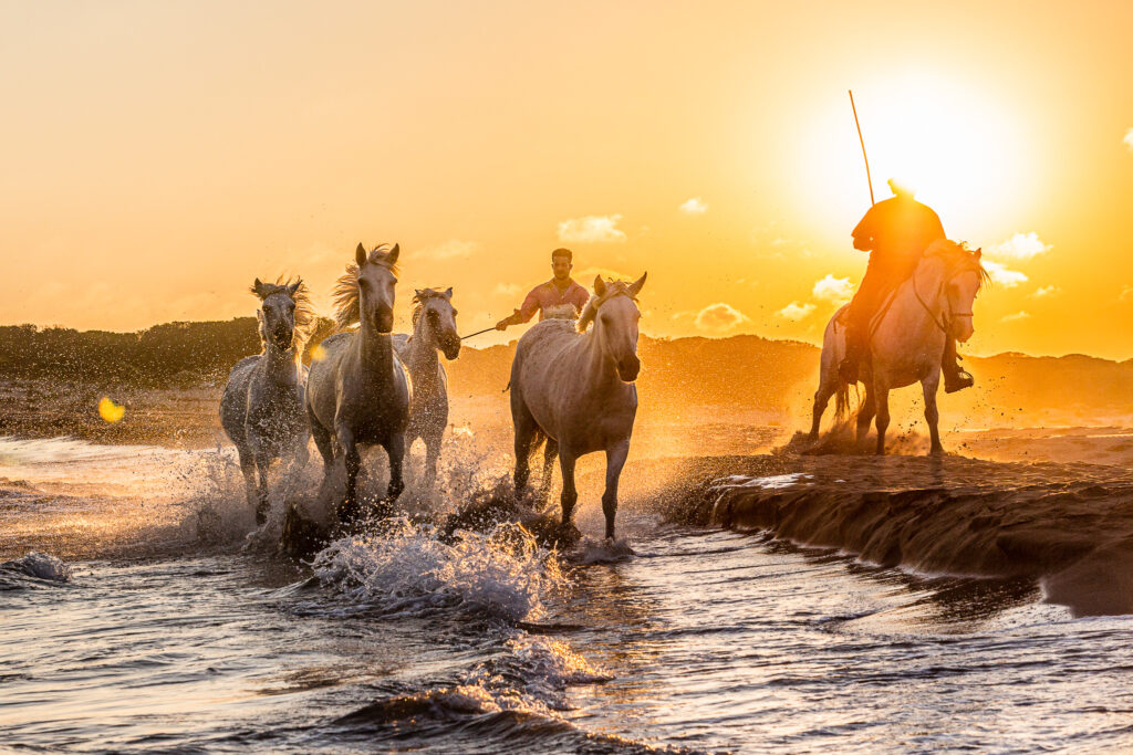 Au coucher de soleil