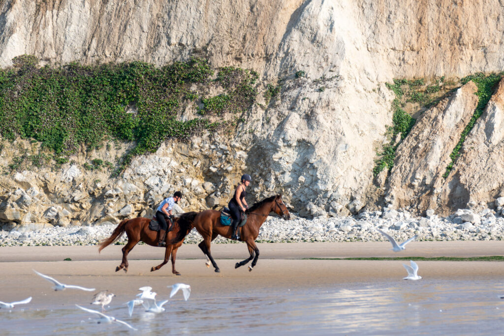 Chevaux au galop plage du cap Blanc-Nez