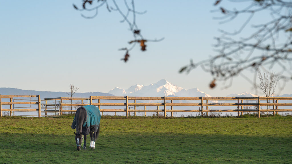 Au pied du Mont Blanc