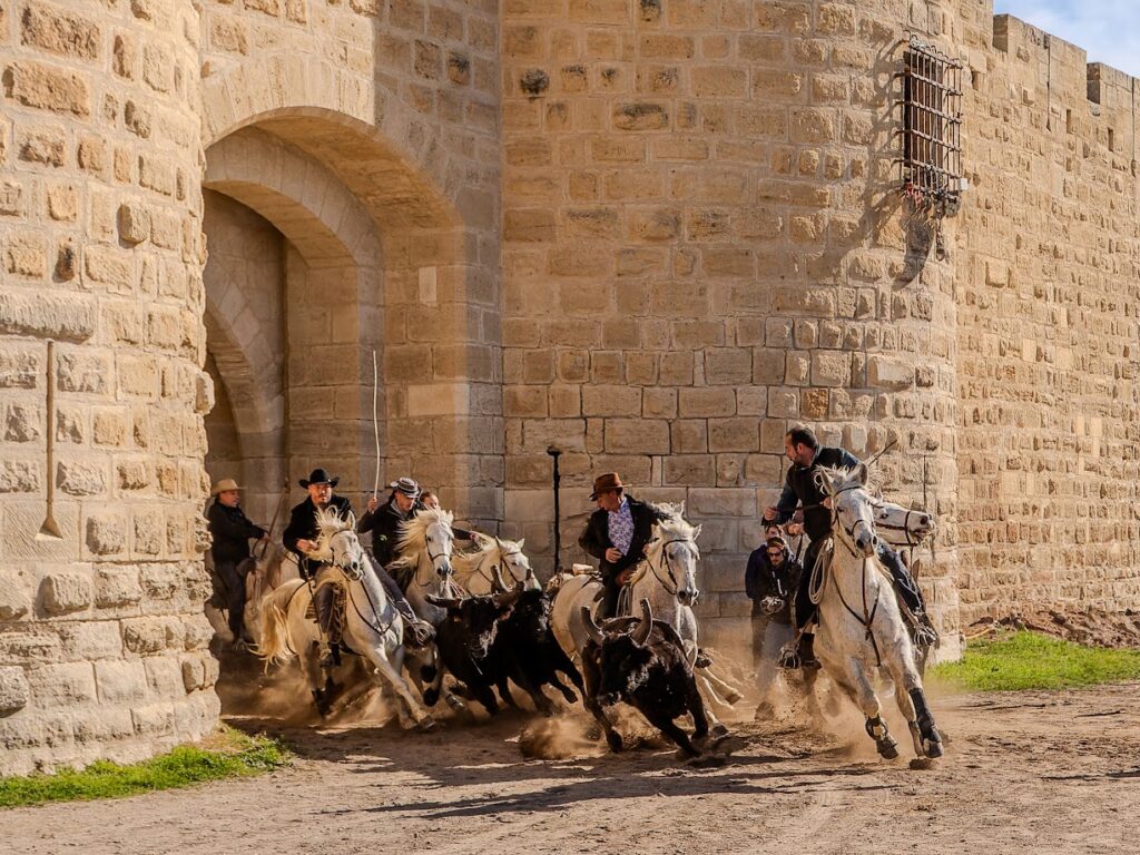 Abrivado d'Aigues Mortes
