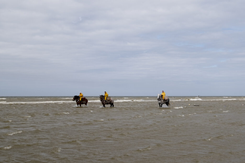 Les chevaux pêcheurs
