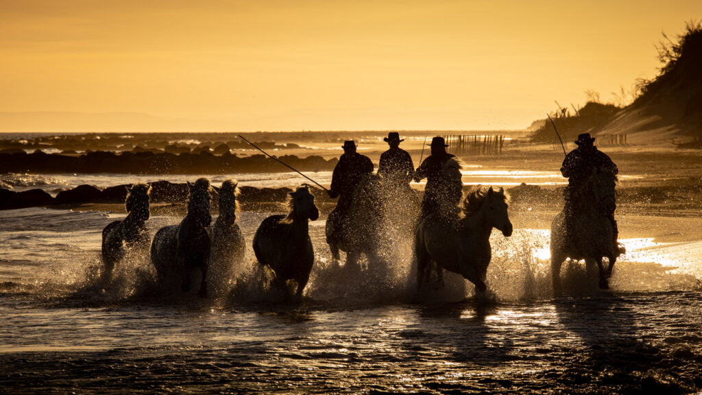 Chevauchée au couchant