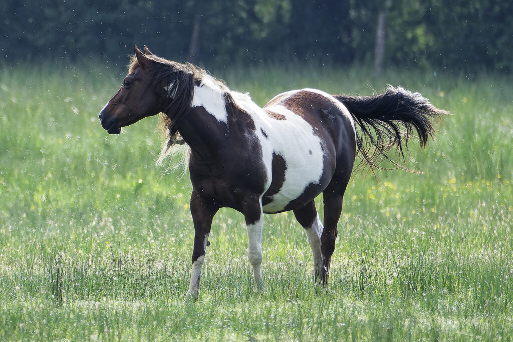 La Beauté au Naturel