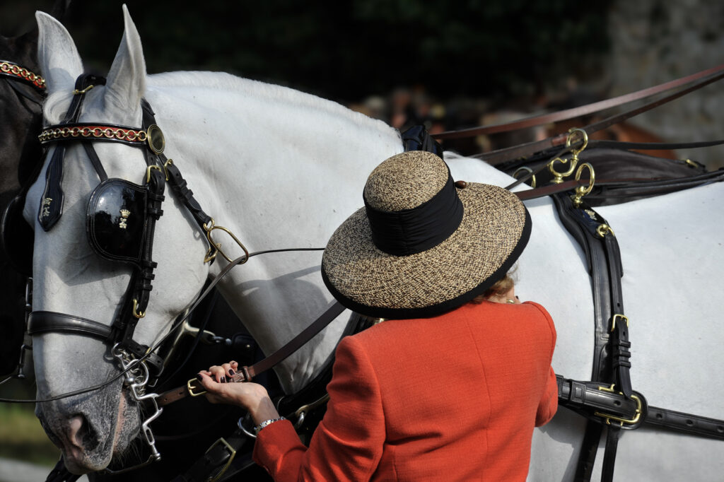 Concours d'attelages à Rambouillet