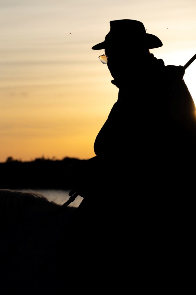 Guardian camarguais au coucher du soleil