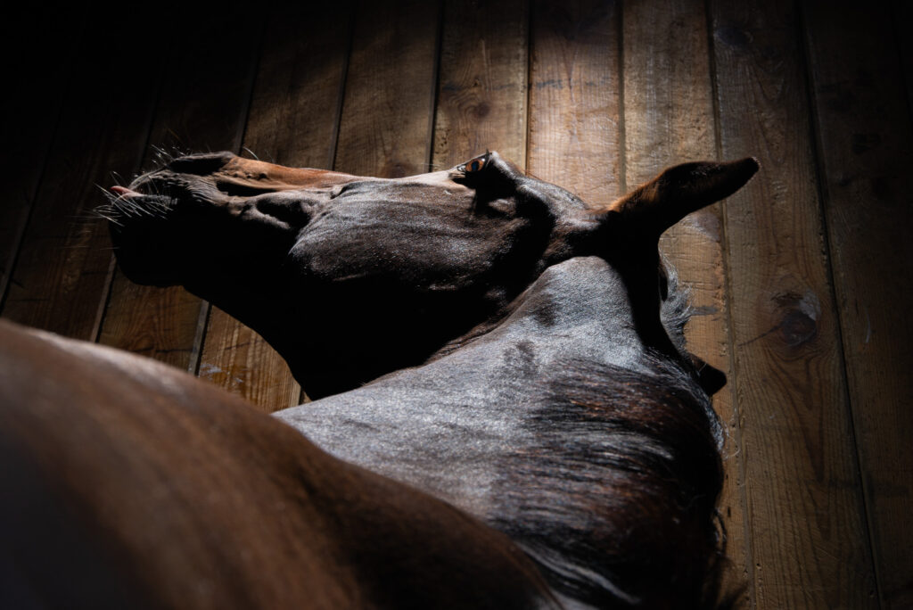 Entrez dans la lumière