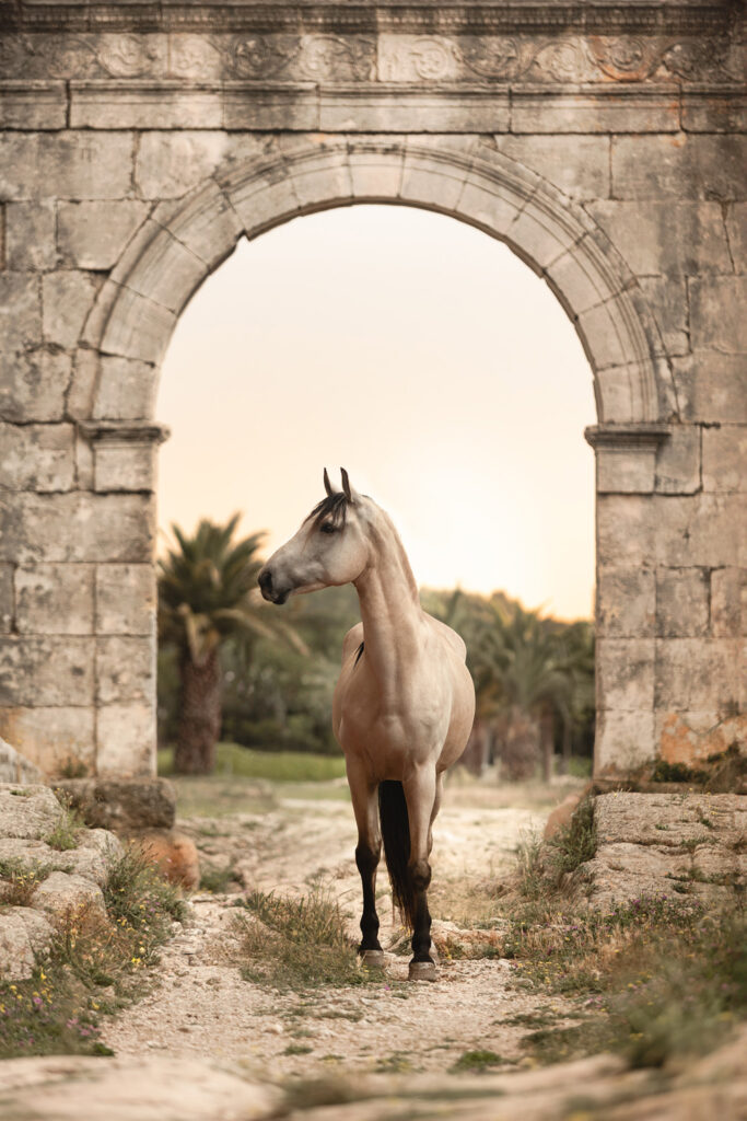 Sous le pont Flavien