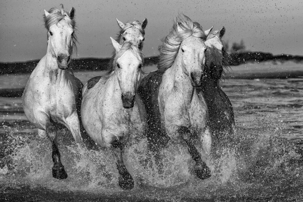 Chevauchée fantastique
