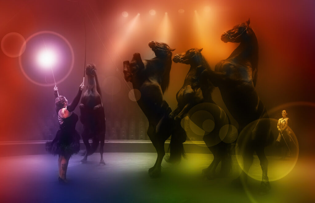 Spectacle Arlette Gruss