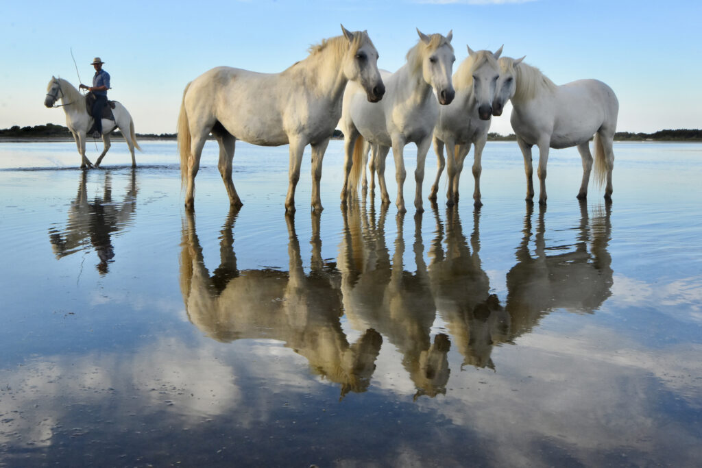 Miroir, mon beau miroir ...