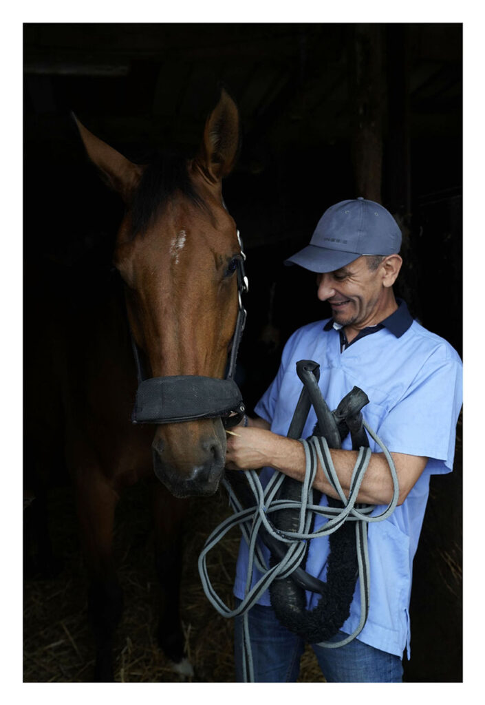 Ifrène, ostéopathe et dentiste équin