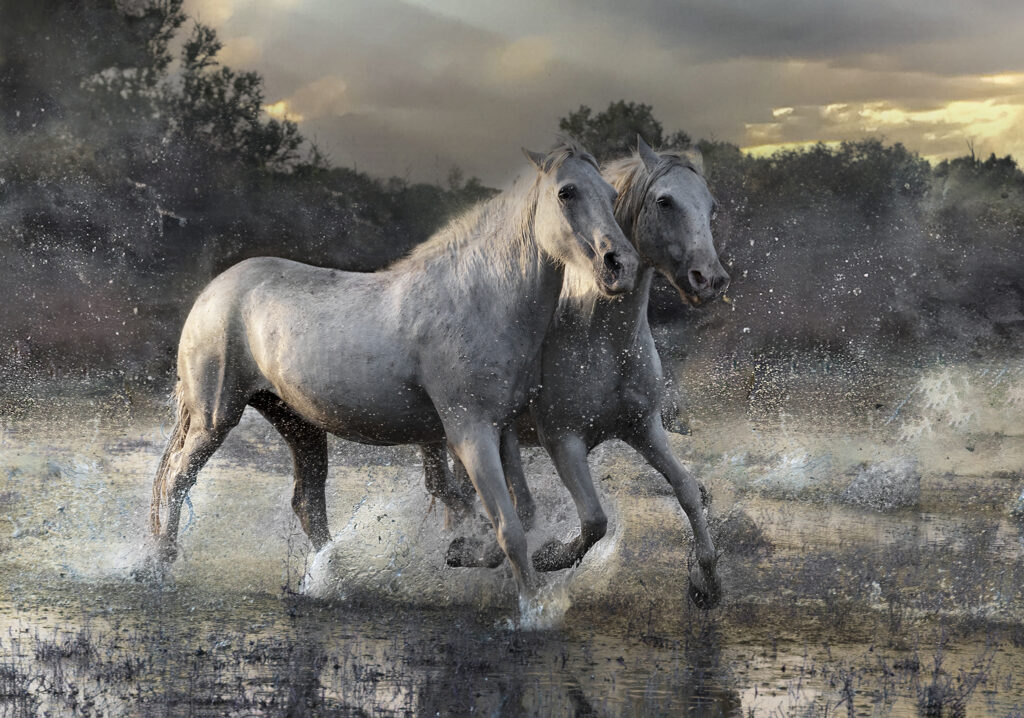 La danse de la liberté