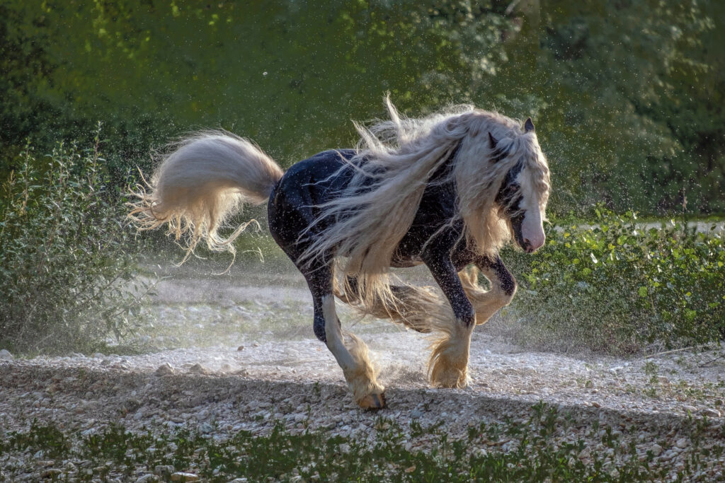 Je fille vers le coiffeur!