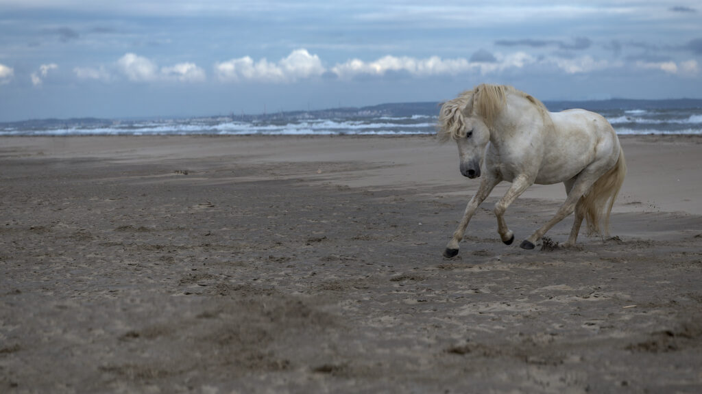 Belle rencontre en liberté