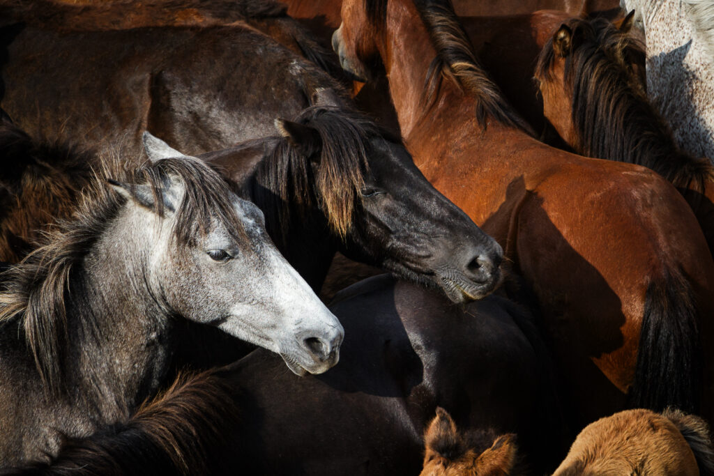 Il est à toi ce petit ?