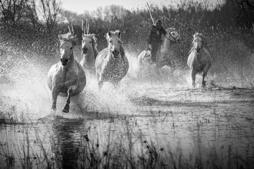 Chevauchée fantastique
