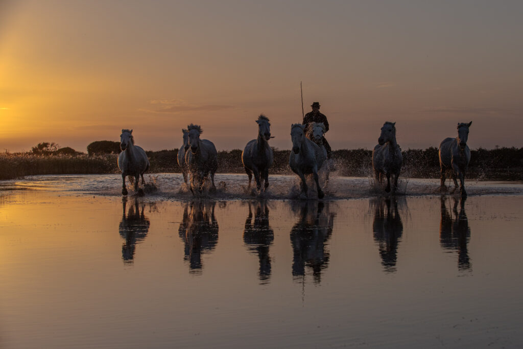 Reflets au soleil couchant