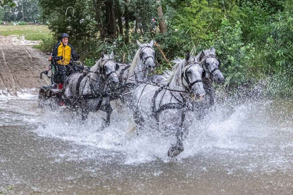 le passage de la rivière
