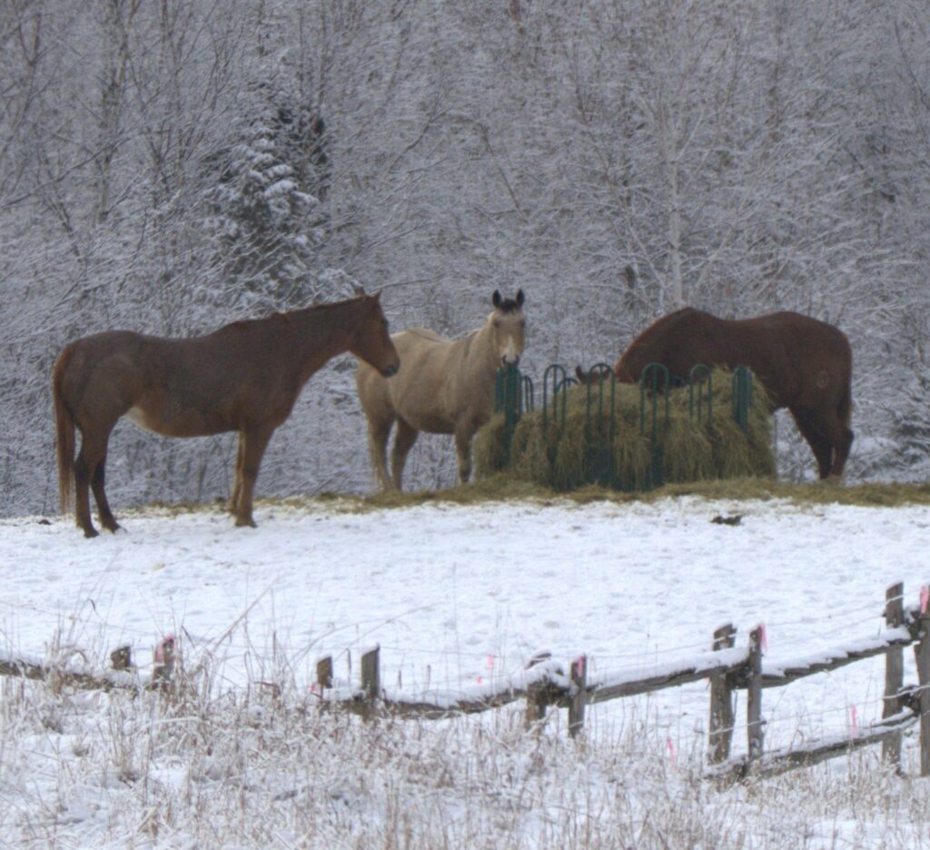 L'hiver au Québec