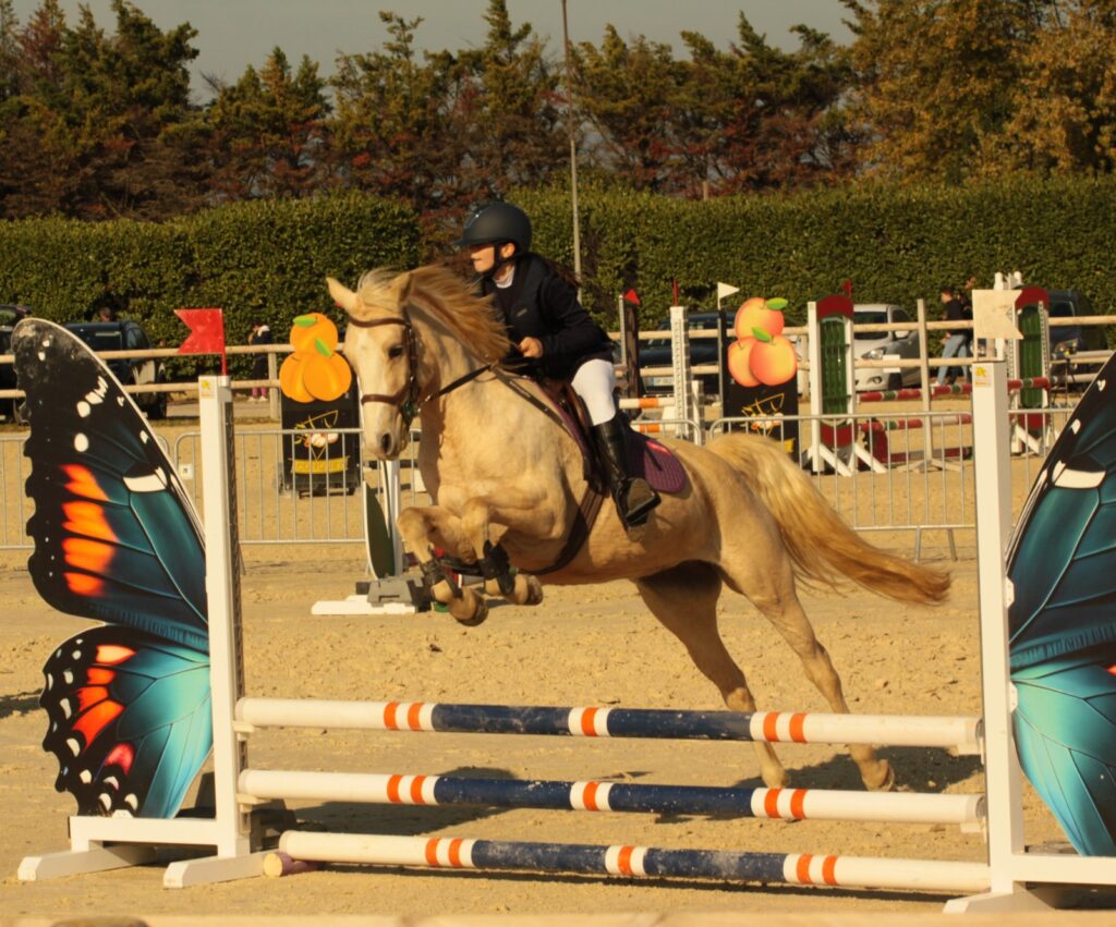 Ma fille et sa passion pour les cheveaux