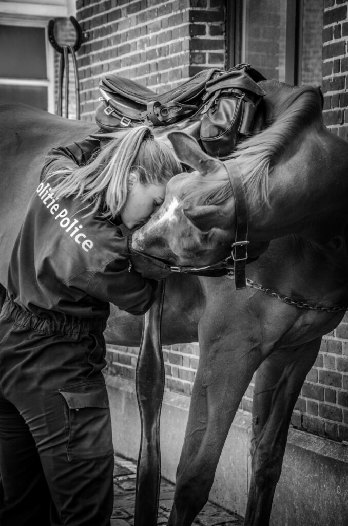 Un moment de douceur au service du devoir