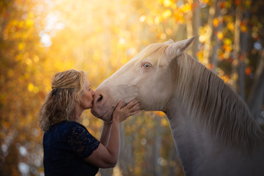 tendresse lusitanienne