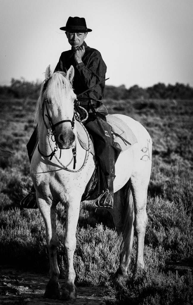 la camargue et ces gradiants