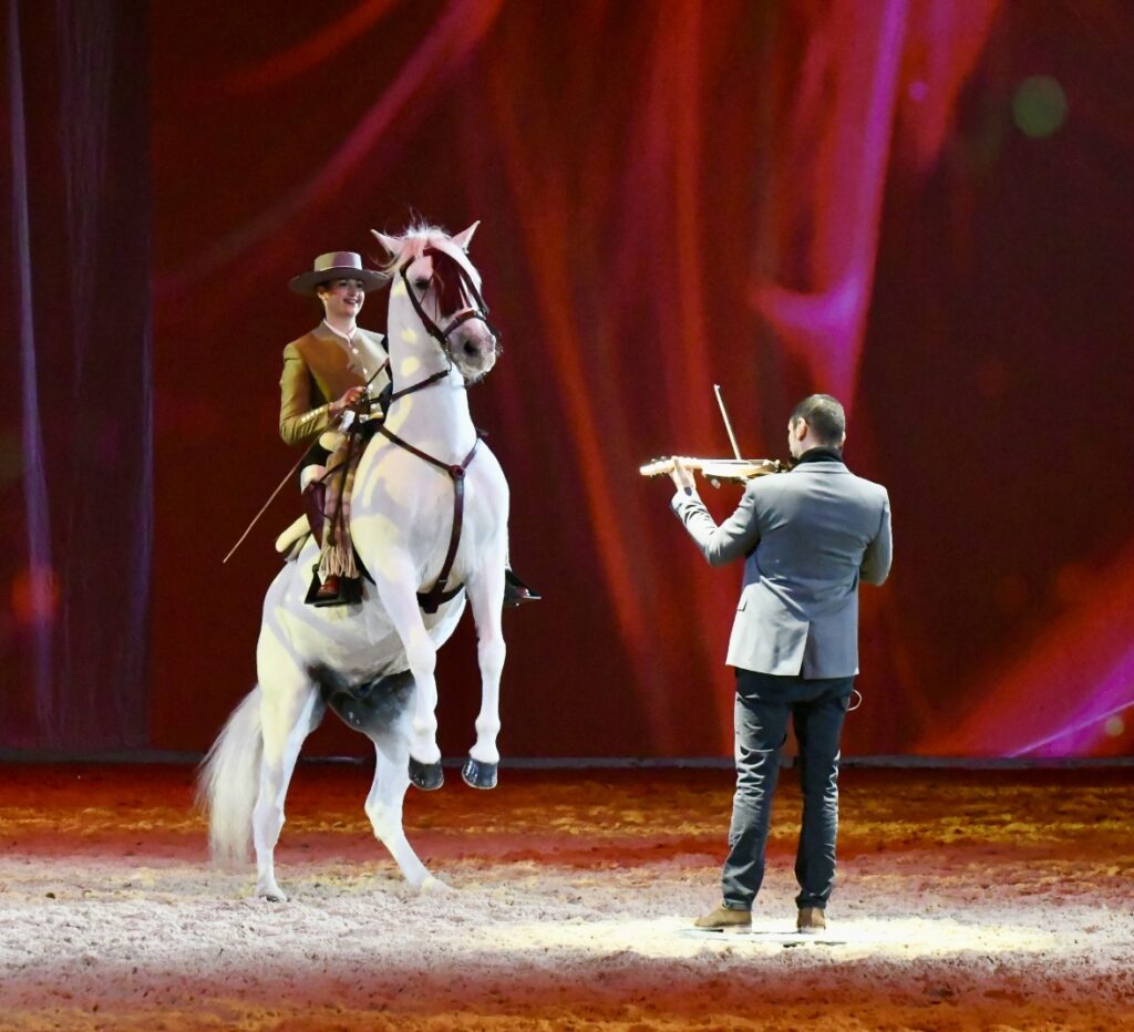 Mon cheval, ma musique