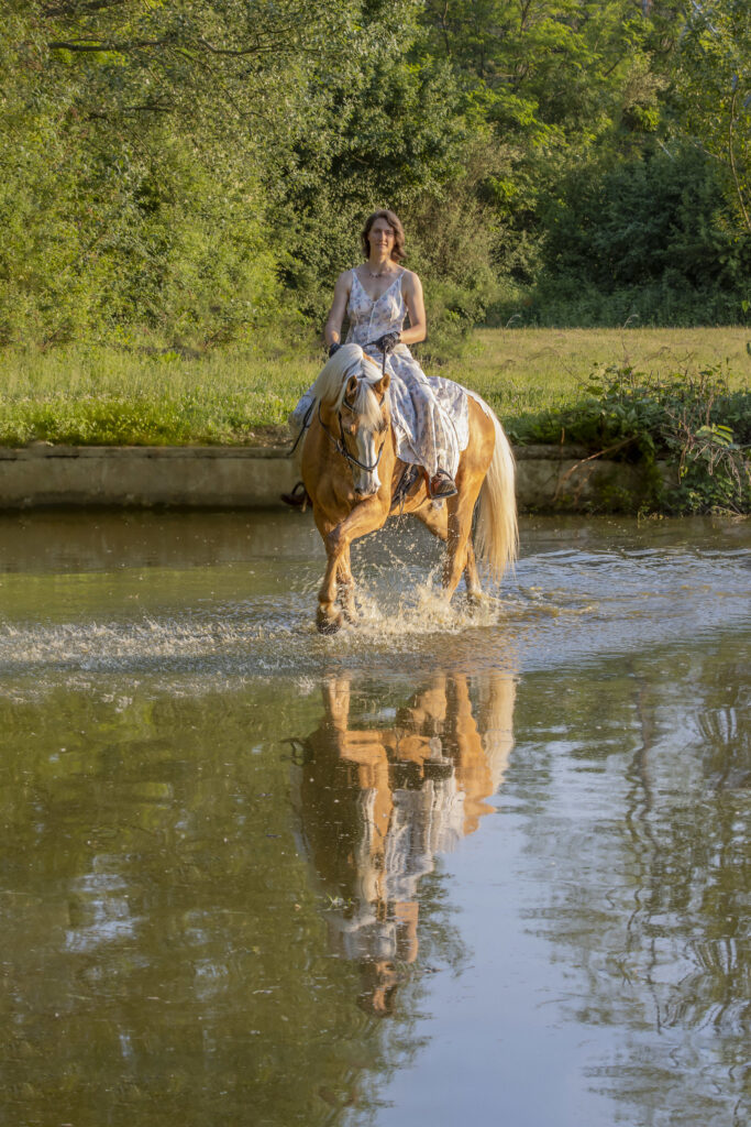 La belle et la bête