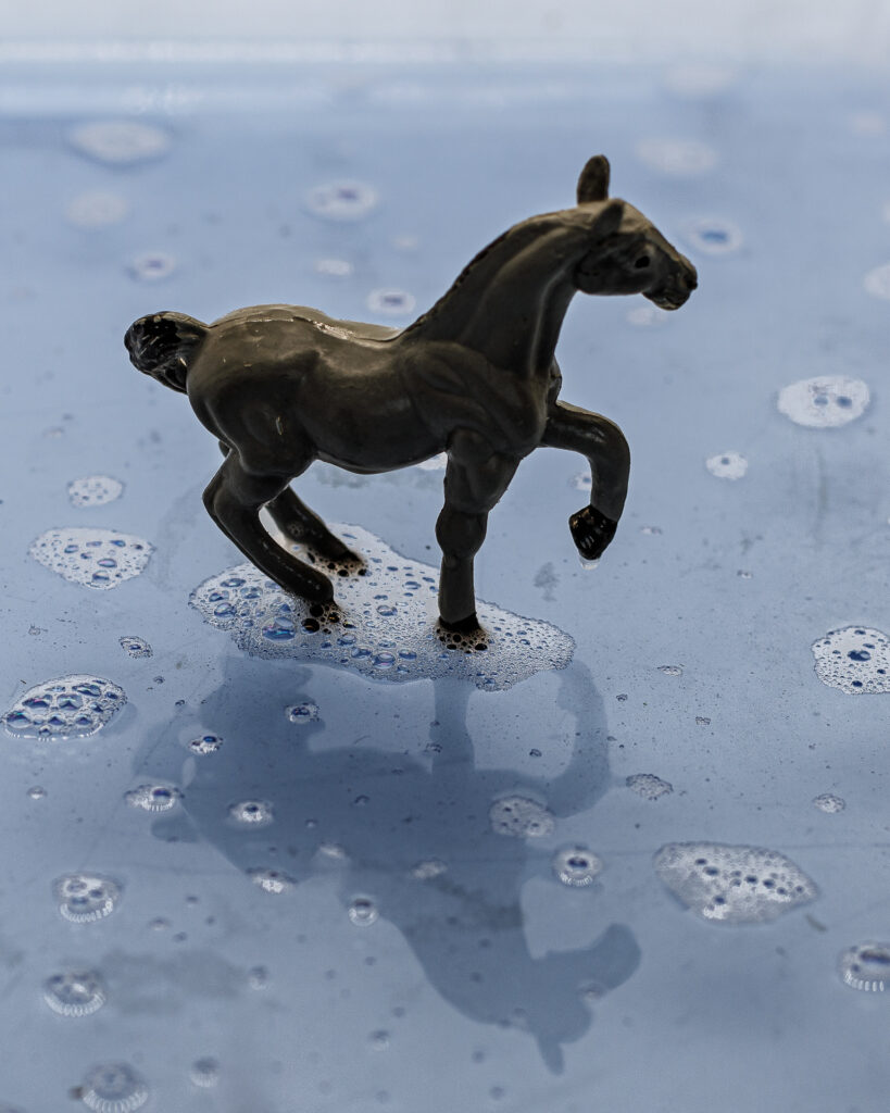 faute de vrai cheval