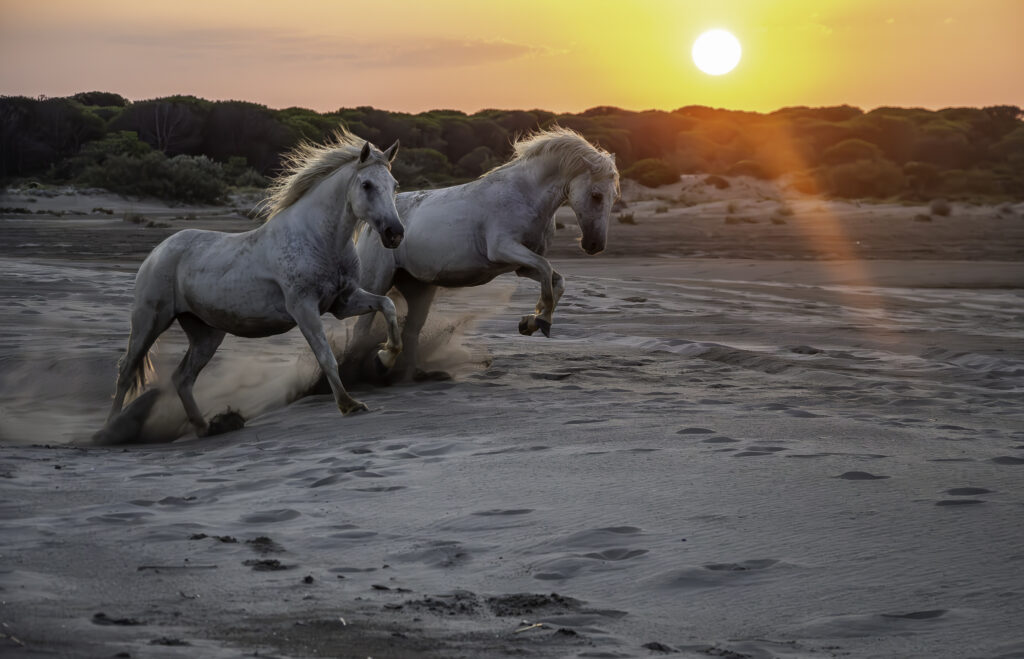 Jeux sur la plage