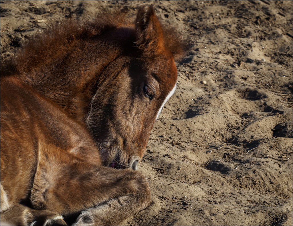 Une vie épuisante...