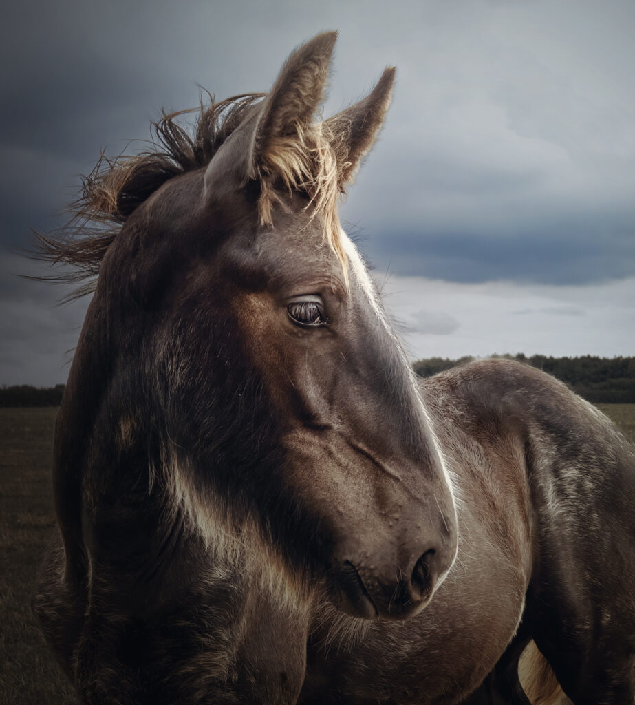 Les jeunes regardent vers l'avenir