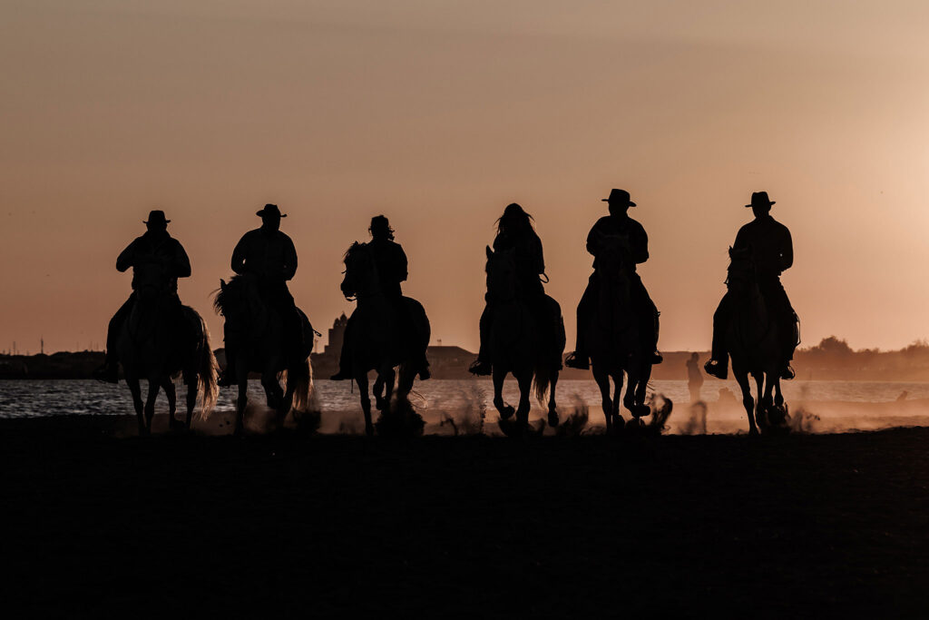 CHEVAUX SUR UNE PLAGE DE CAMARGUE